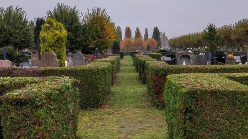 Vents fort : la Ville de Strasbourg ferme ses parcs et cimetières 